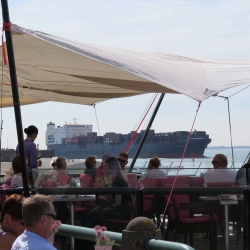 boulevardfoto terras.JPG